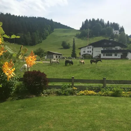 Alpesi faház In Near Lift